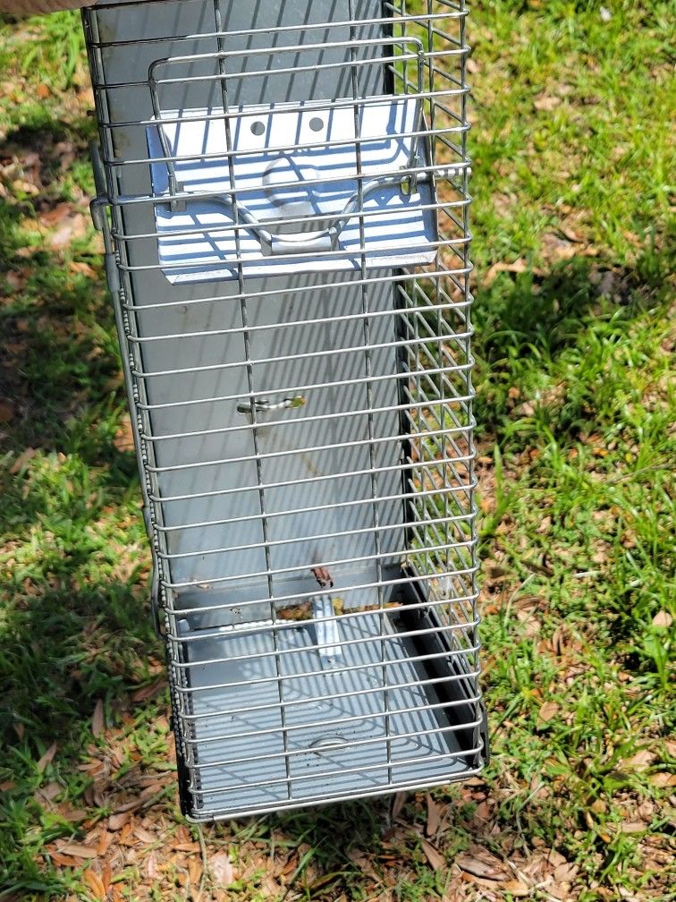 Small Animal Trap