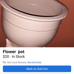 Flower Pot 