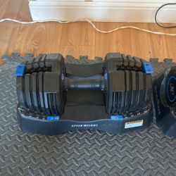 Dumbell And Chairs