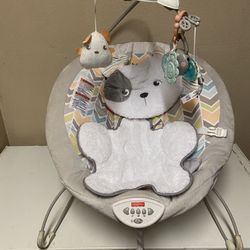 Baby Bouncer 