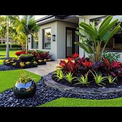 Plants $& Stones