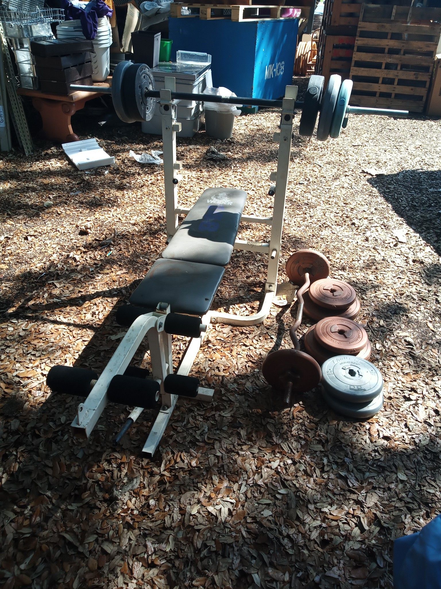 Weight bench with curl bar and weights