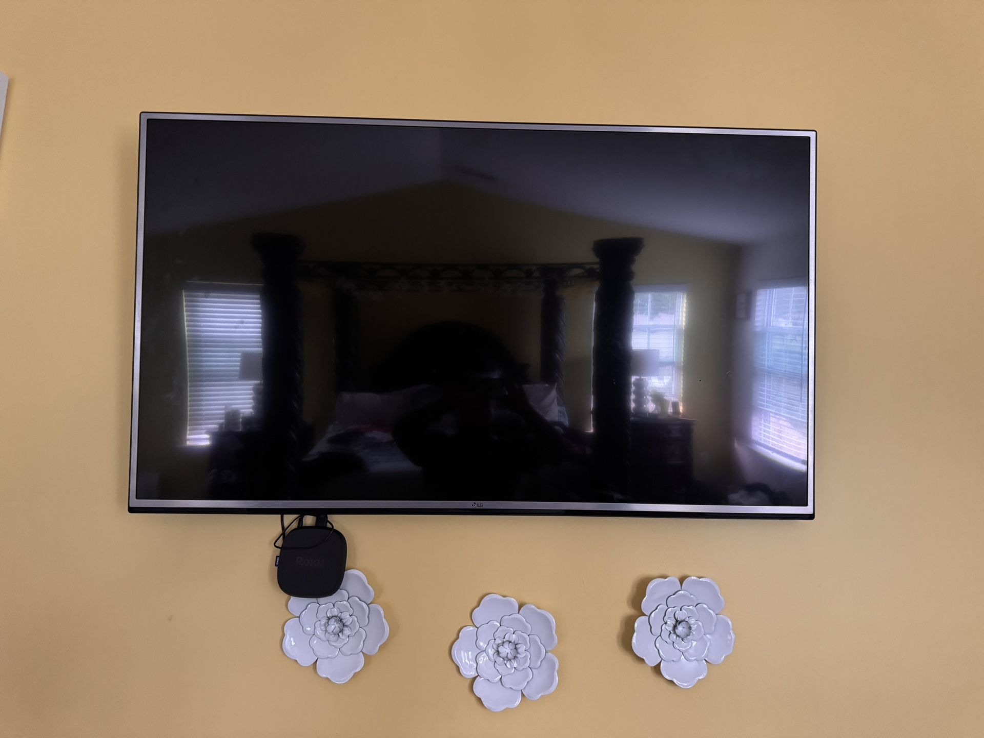 55in TV/wall Mount Roku