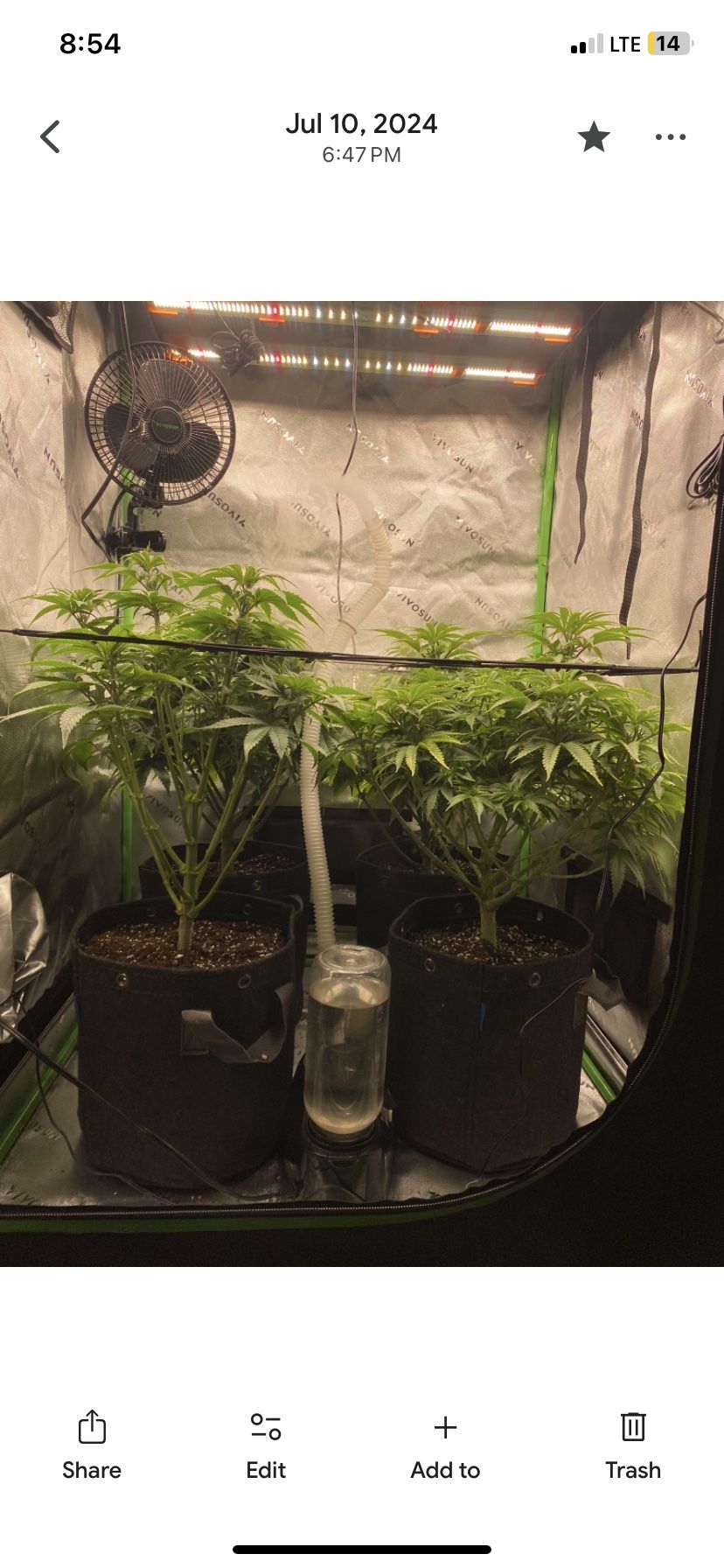 Grow tent