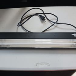 Zoomed Uv Light
