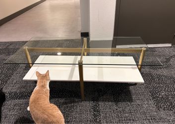 Glass Coffee table