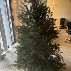 CHRSITMAS TREE 
