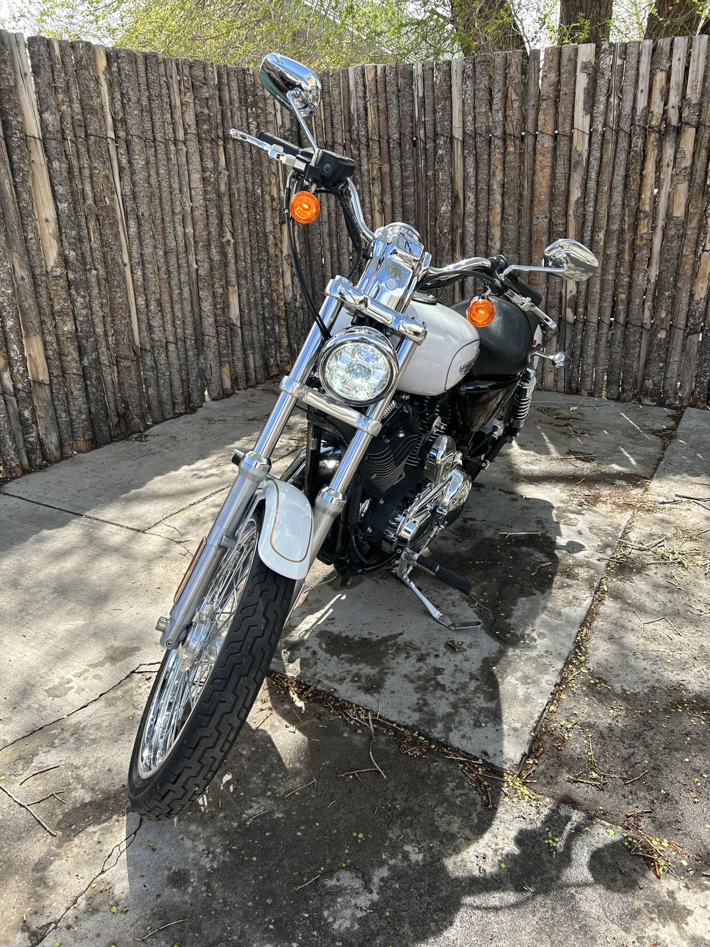 2008 Harley Davidson Sportster Custom