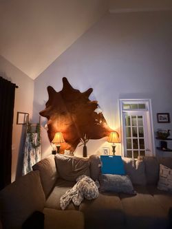 Large cowhide rug