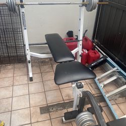 Powerhouse Weight Bench With Weights