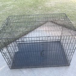 XL Double Door Dog Crate. 