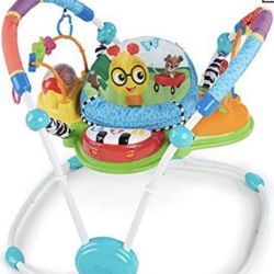 Baby Einstein Bouncer