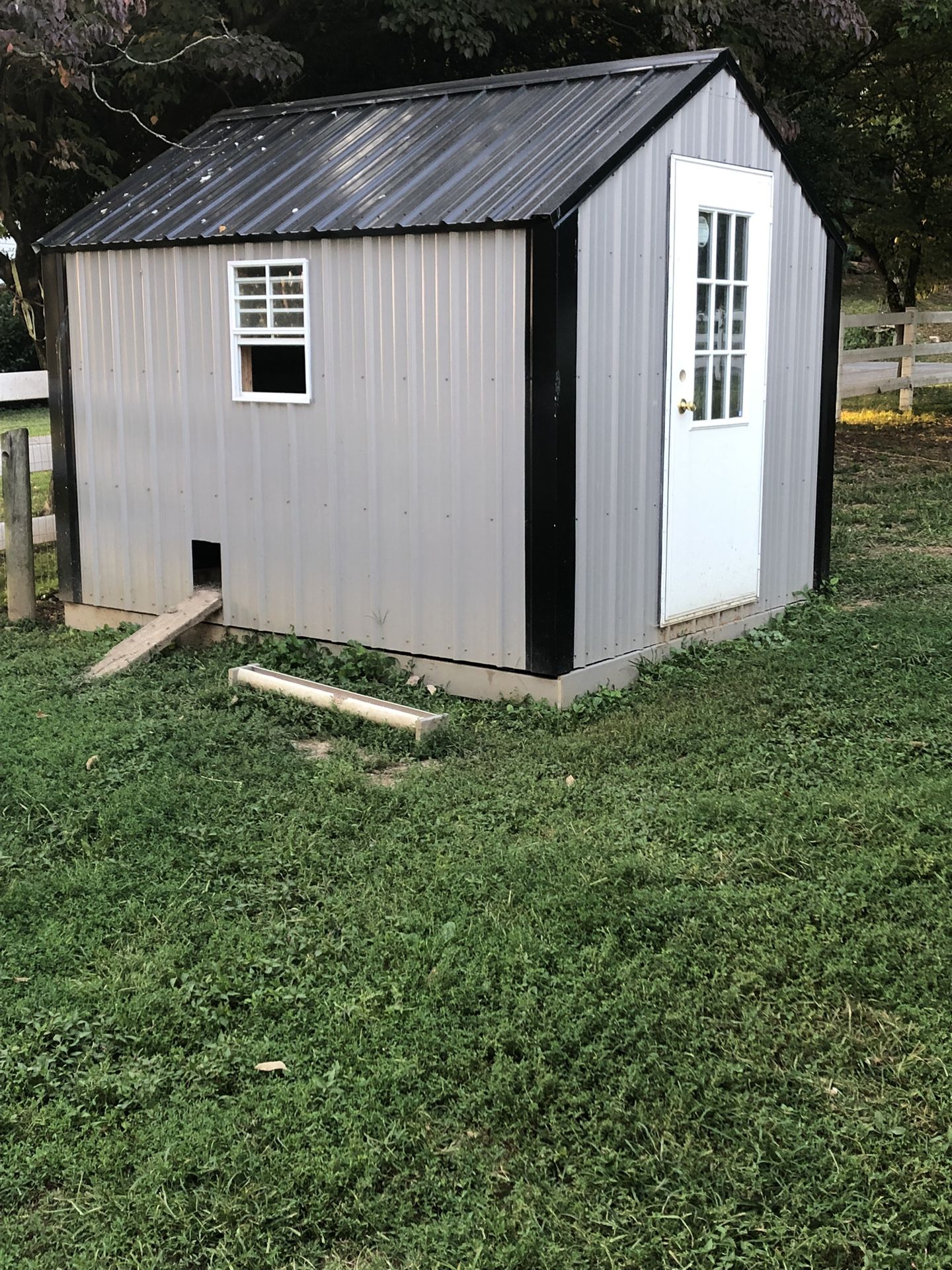 Chicken Shed