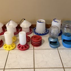 Bird and chicken feeders