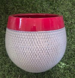 plant pot