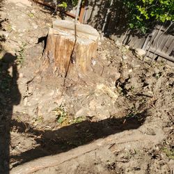 Stump Removal