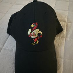 Otterbein Lot Size M 