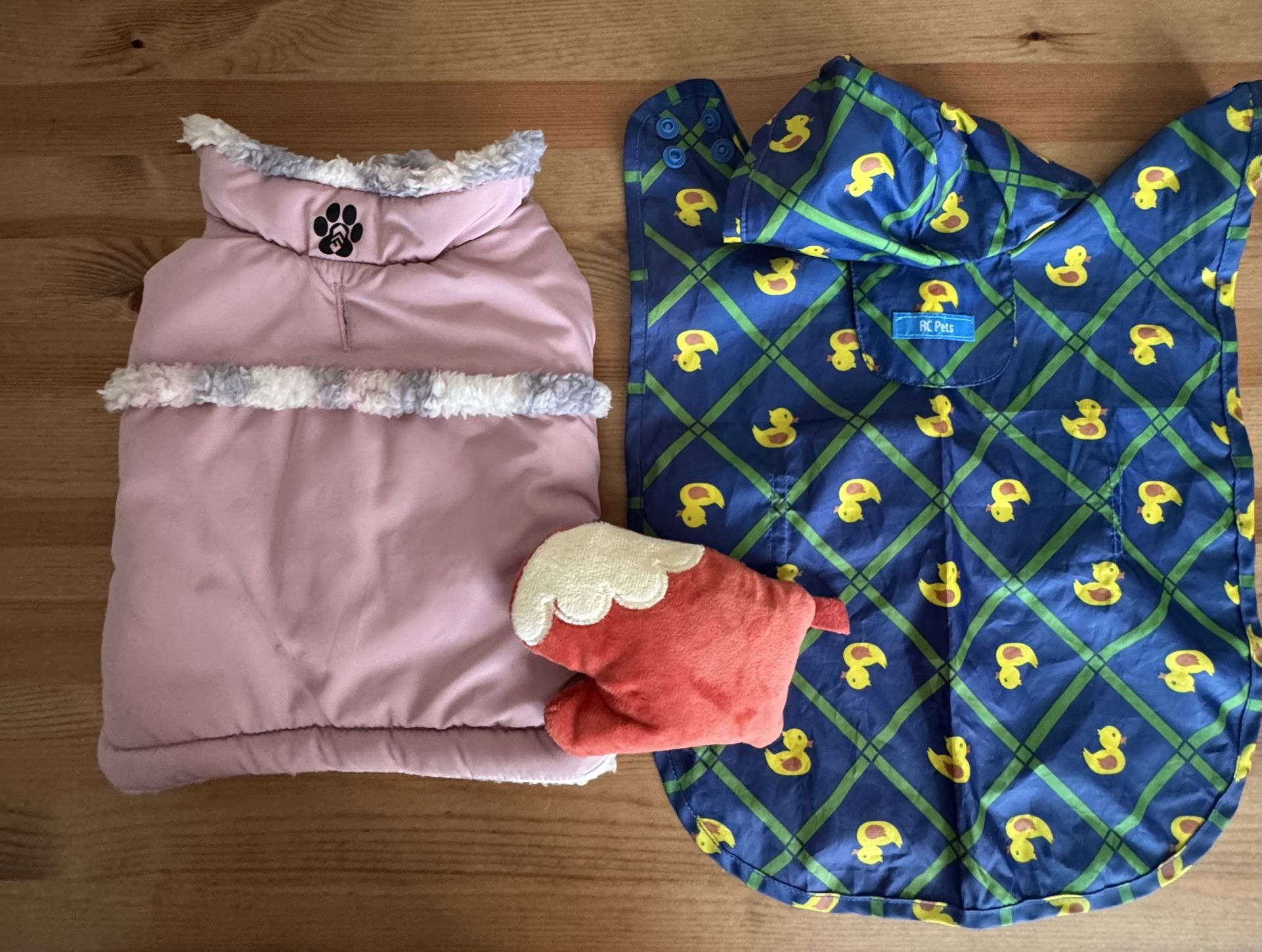 clothes for a small cat and dog