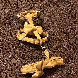 Cat Leash And Harness