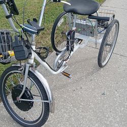 Electric 3 Wheel Bike 