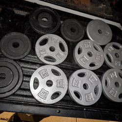 5 And 7.5lb Bumper Weight Plates 1"