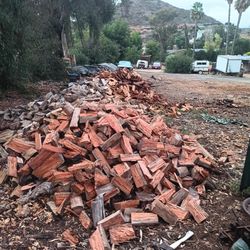 Pine And Eucalyptus Fire Woods 