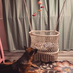 Macrame Baby Swing 