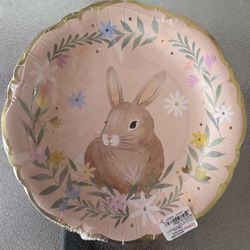 Disposable plates (8 units).

Brand: Way to Celebrate.