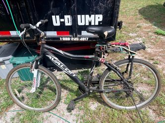 Next Avalon Mountain Bike