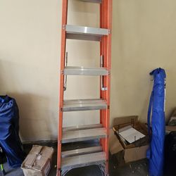 Louisville 6ft Ladder 