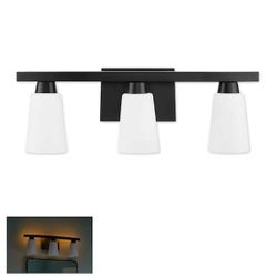 24in 3 Light Vanity Light