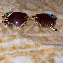 Cougar Sunglasses 