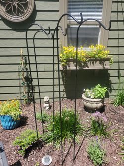 5 Shepherd hooks or hook, 5' tall black new