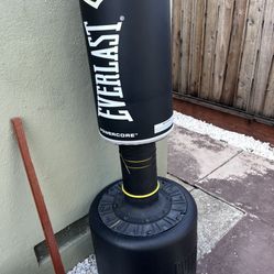 Punching Bag Never Used Like New 