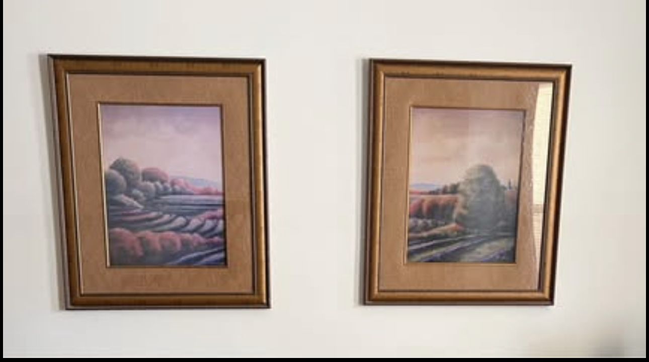 Large pictures in beautiful glass frame
