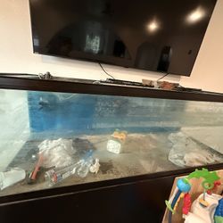 180 Gallon Fish Tank 