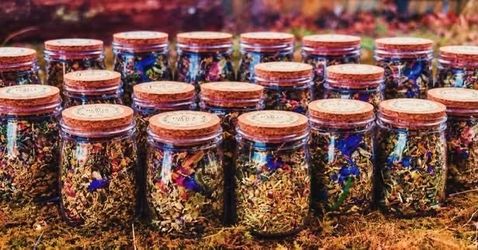 The sleeping beauty for dreams