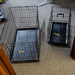 Dog Kennels 