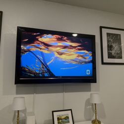 Sony Bravia 45 Inch Flat Screen With Wall Mount 