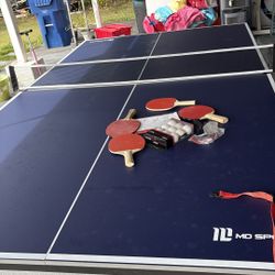 Pin Pong table