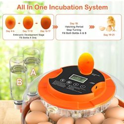 Onsju 18 Egg Incubator with Automatic