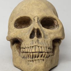 Vintage Skull Form Coin Bank 