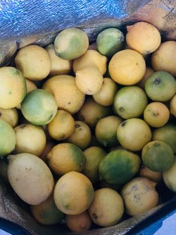 Lemon just pick up