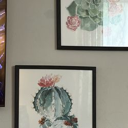 3 Piece Set Cactus art World market