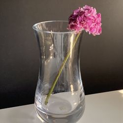 $15 Crate and Barrel- "Pera" Flower Vase
