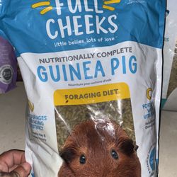 Guinea Pig Food