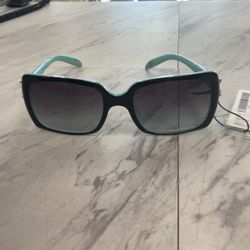 Tiffany TF4047-B Fashion Sunglasses