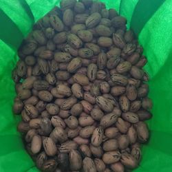 Stewart Pecans