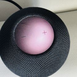 Apple - HomePod mini - Midnight