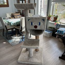 Cat Scratching Post